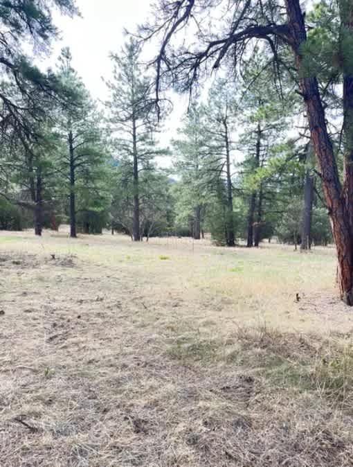 property_data/zw0YyJWOrcX417B9j7s4/pictures/Screenshot 2025-06-20 150549.jpeg