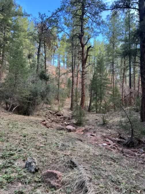 property_data/zw0YyJWOrcX417B9j7s4/pictures/Screenshot 2025-06-20 150600.jpeg