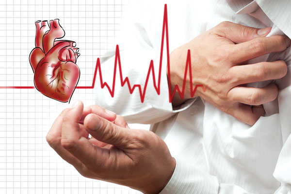 Những lợi ích bất ngờ từ &#34;quả trường sinh&#34; rẻ tiền, dễ kiếm - 1