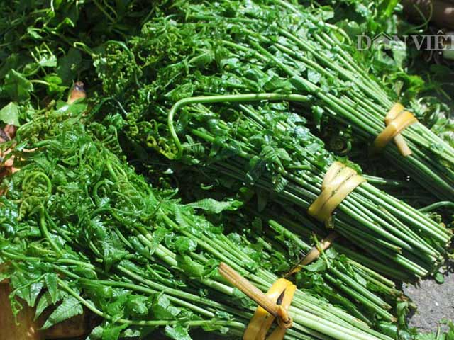Không ai ngờ loại rau mọc hoang lại có giá trị trường thọ?