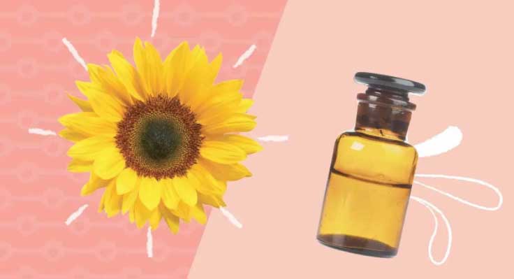 Những loại dầu dưỡng da đơn giản, dễ kiếm giúp lớp biểu bì căng mọng
