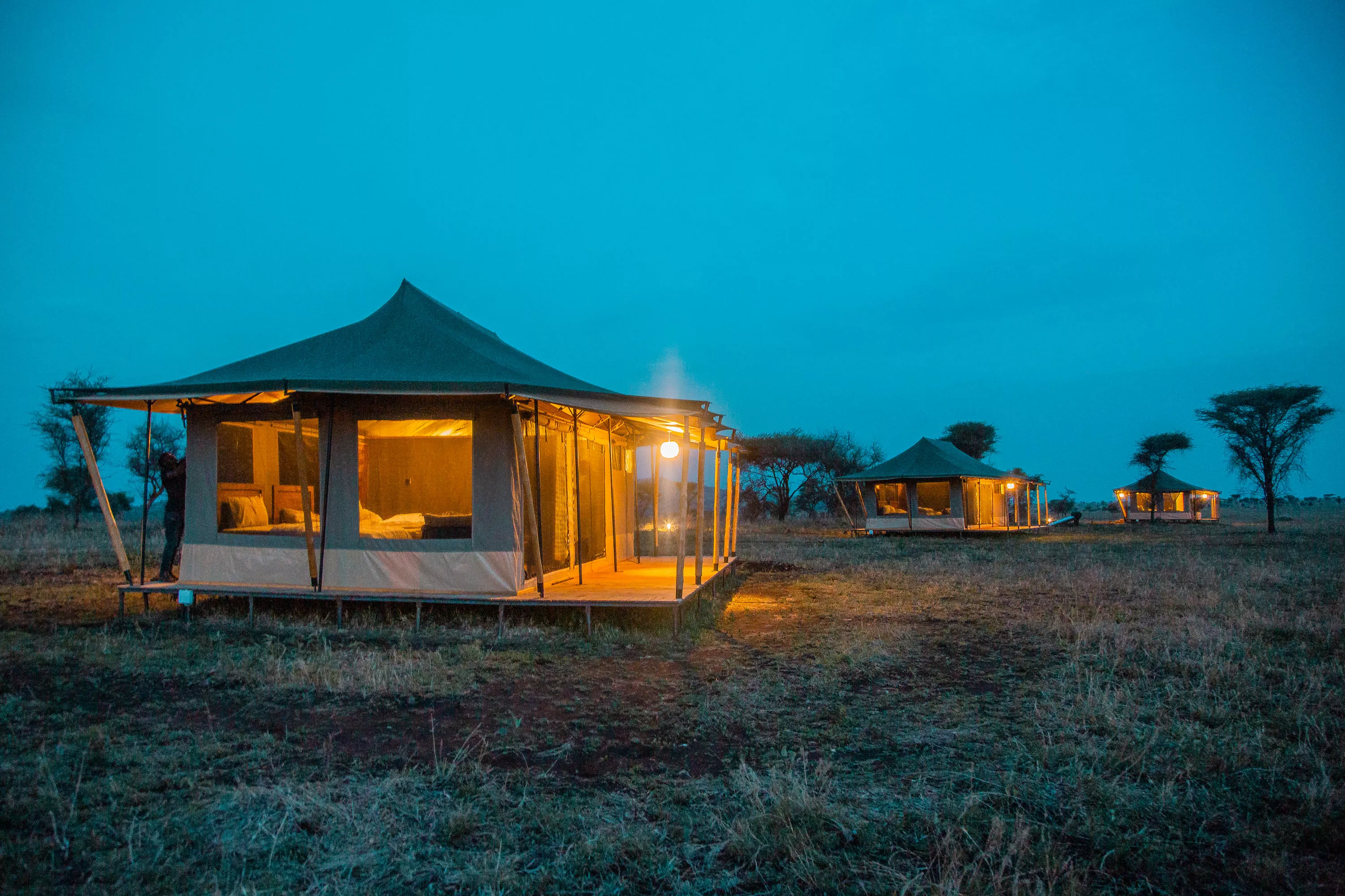 Serengeti Plains - Endless savannah stretching to the horizon with acacia trees.