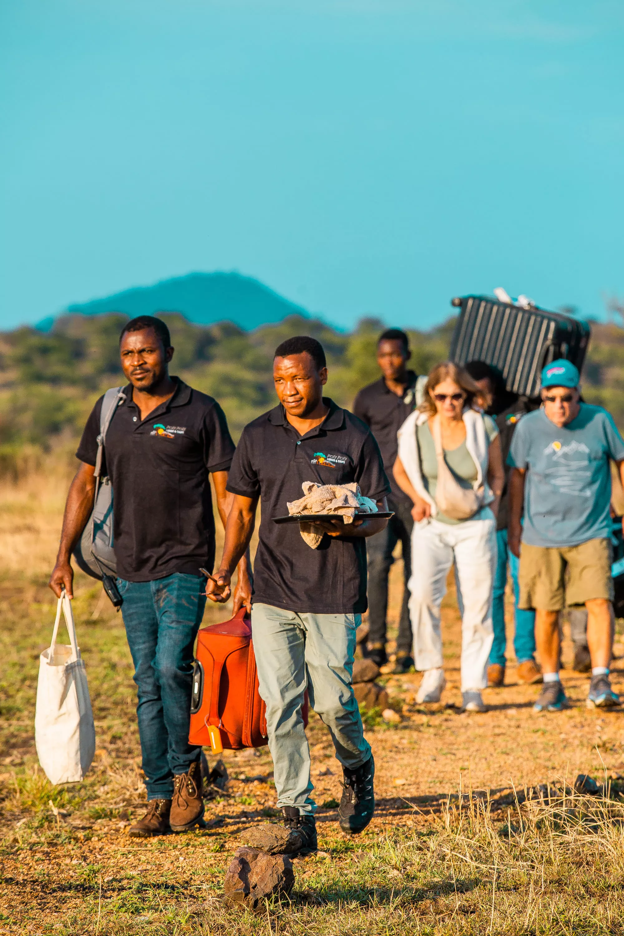 Safari Adventure - Game drive through the wilderness with expert naturalist guides.