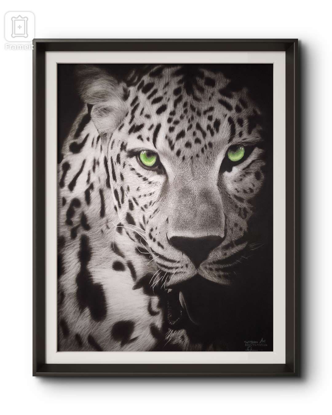 Pencil Drawing