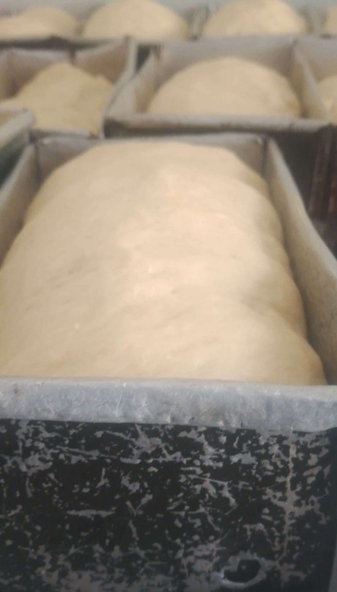 OLG unique bread, meat pie , popcorn and Cake