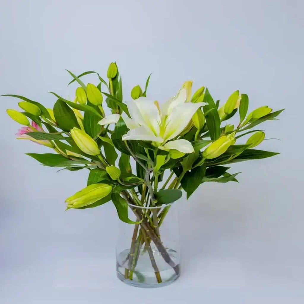 Elegant Lilies