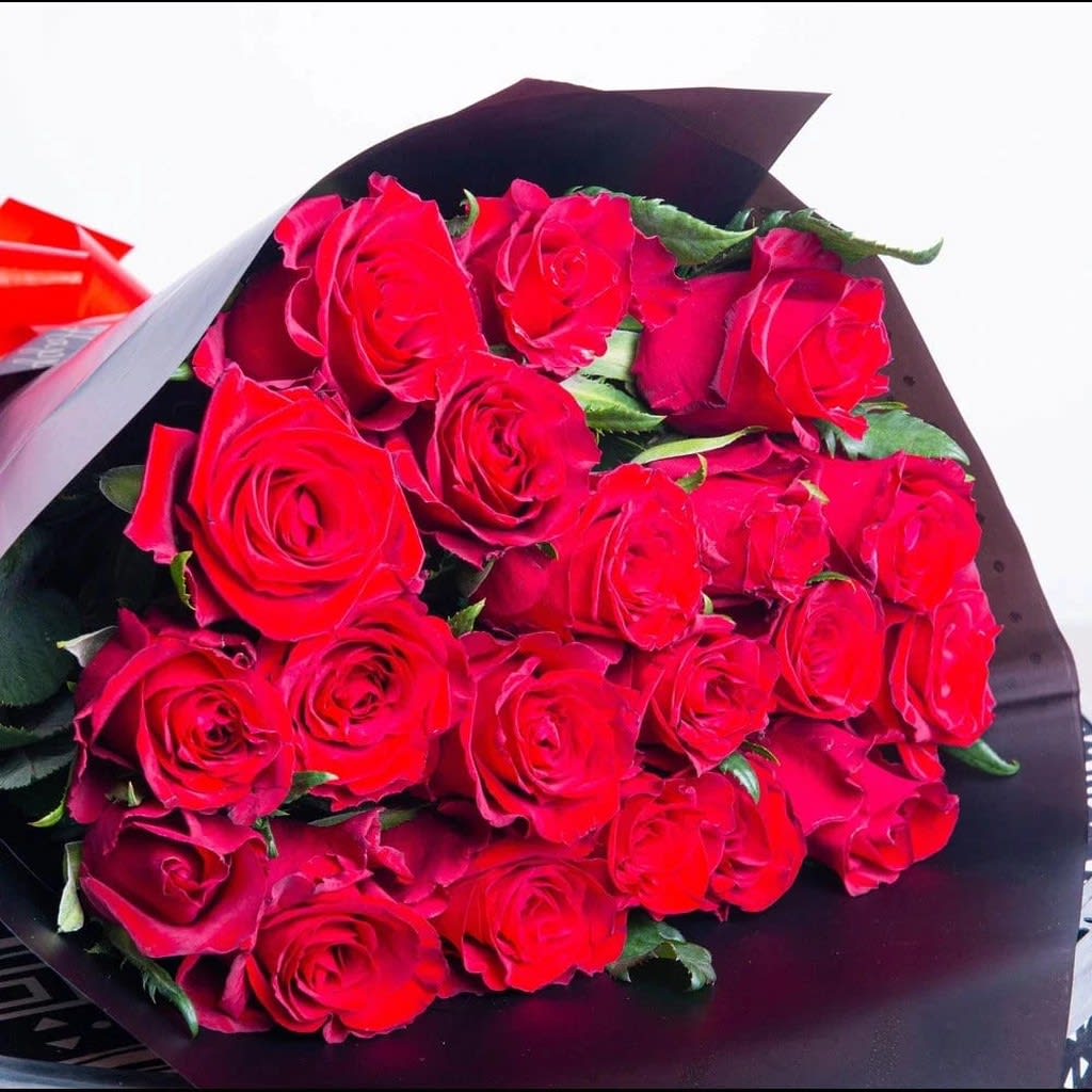 Passionate Red Roses Lite