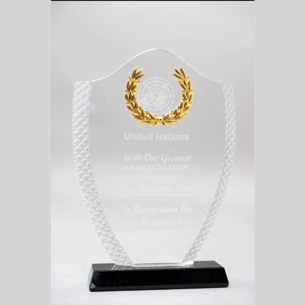 Dome Awards Black base and gold shield