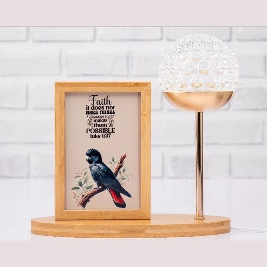 Shaped USB Photo Frames Shape Circular