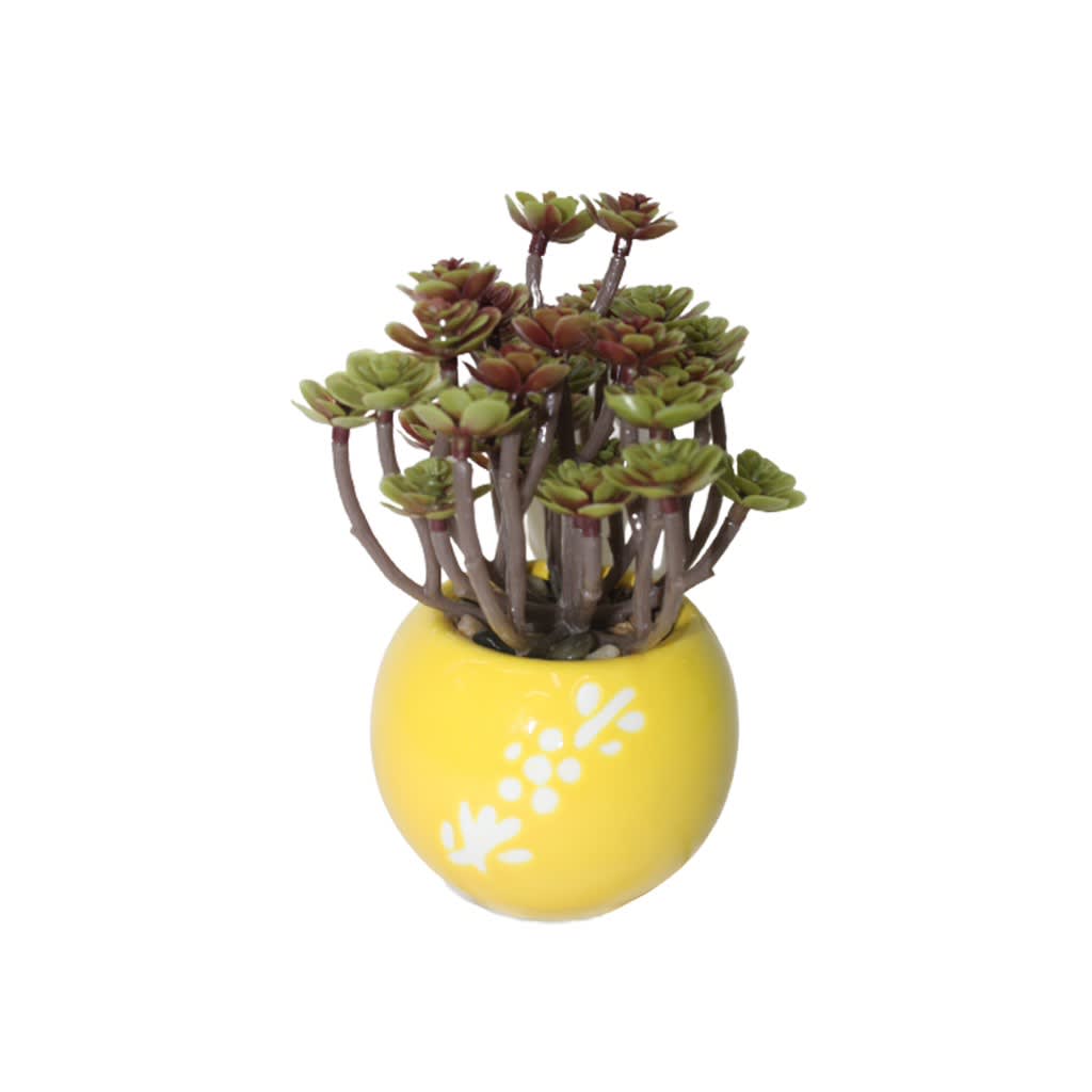 Artificial Succulent plant in a Ceramic Pot (Brown)