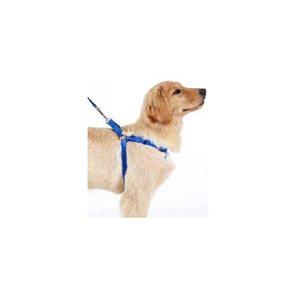 Dog Harness and collar sets