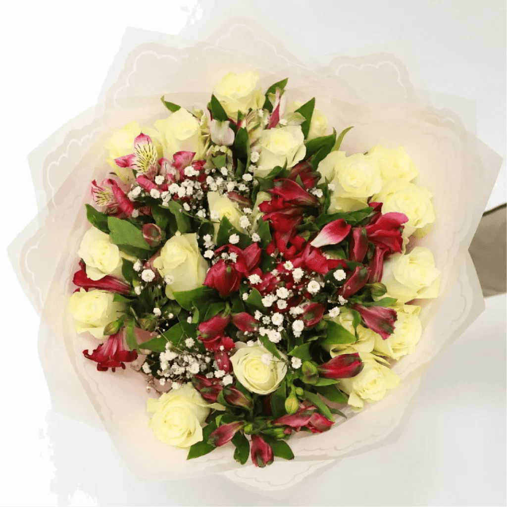 Rosy Alstro White - view 1