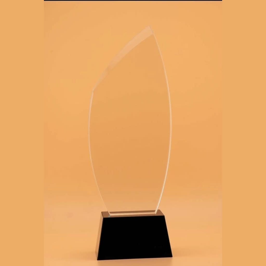 Long Glass Award Curved - view 1