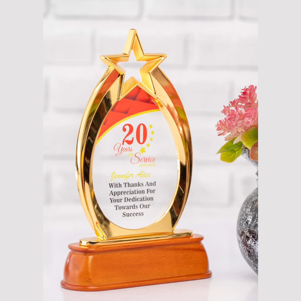 Golden Star Award Trophy - view 1