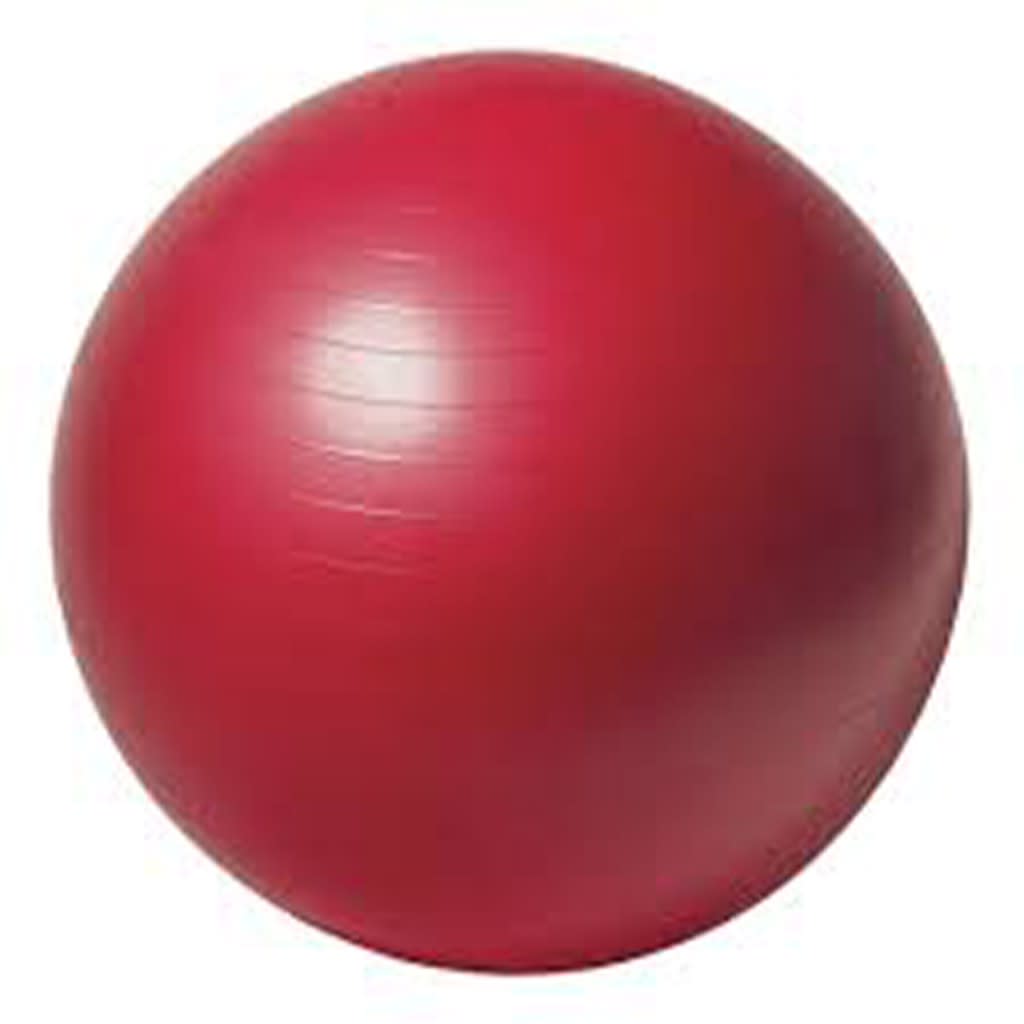 Therapy Balls (75cm) Plus Free Pump - view 1