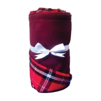 Maroon thumbnail