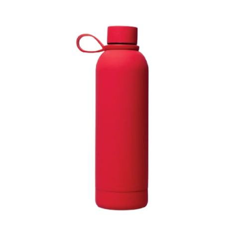 Stainless Steel Double wall Insulated Narrow Mouth Sports Water Bottle With Handle
