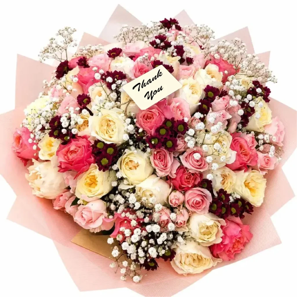 Sweet Elegance Garden Scented Roses