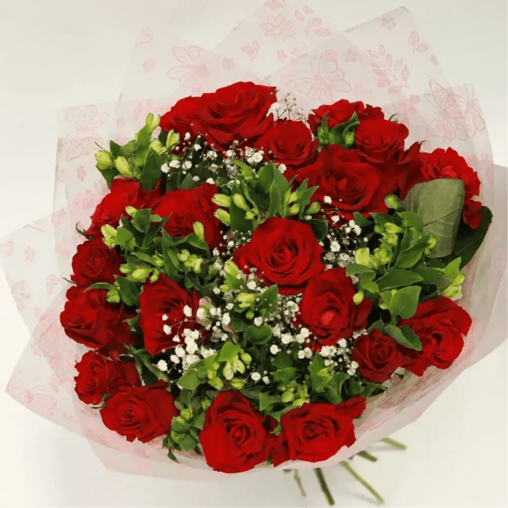 Rosy Alstro Red