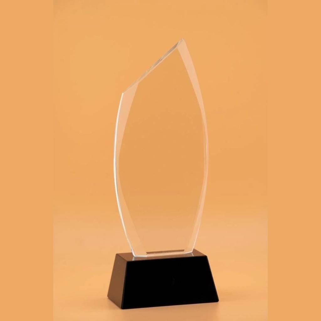 Slashed Awards Long