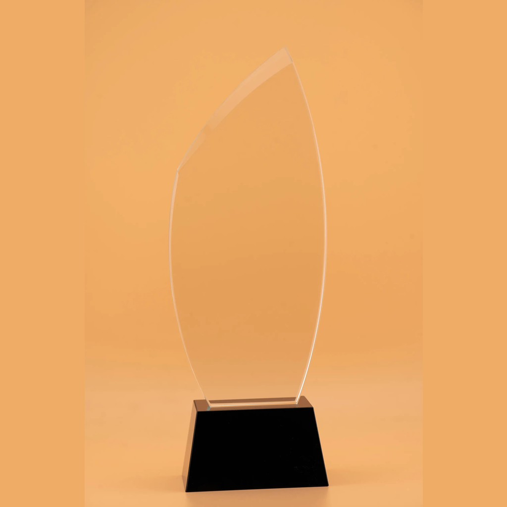 Long Curved Glass Award