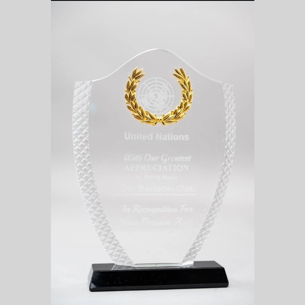 Dome Awards Black base and gold shield