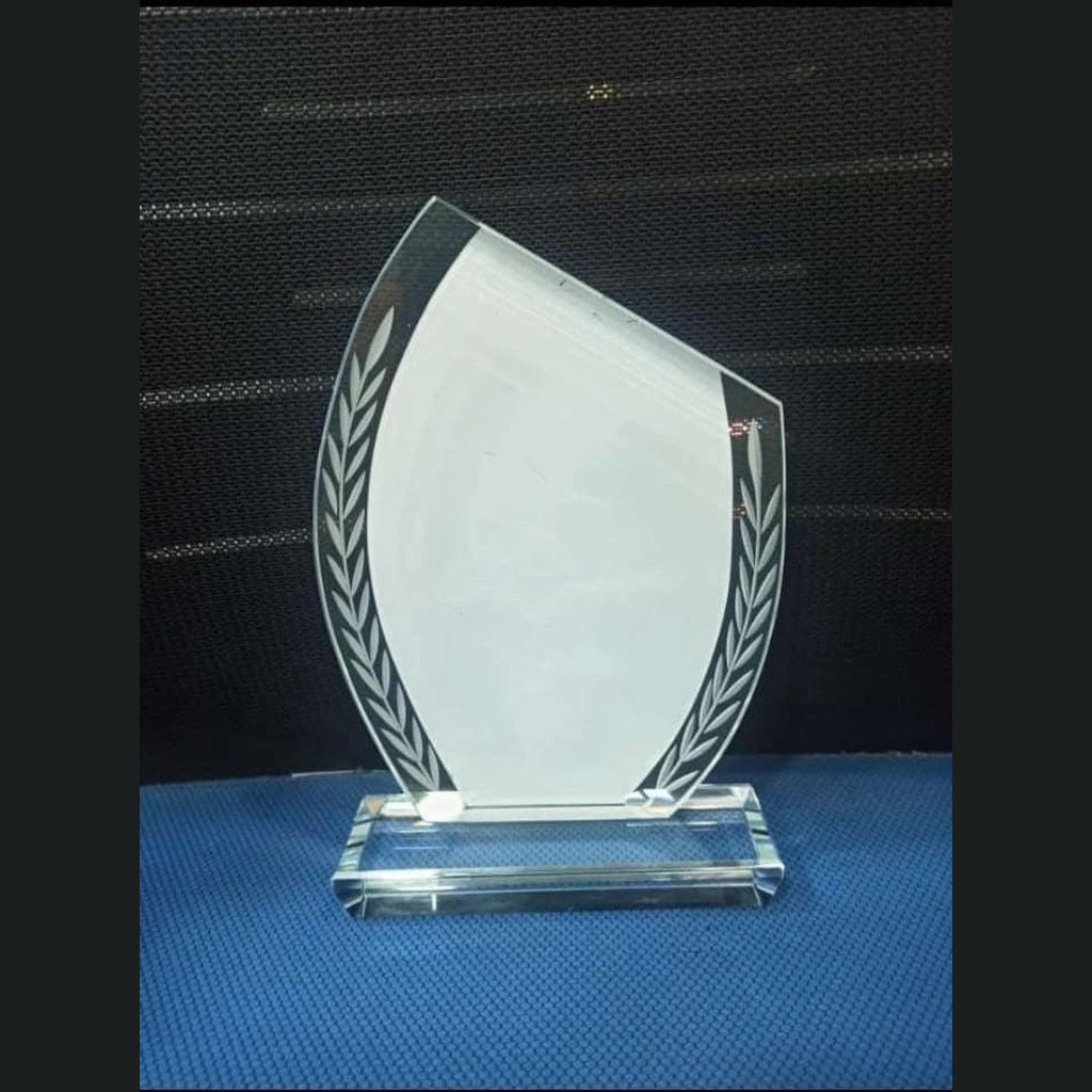 Slashed Awards Standard