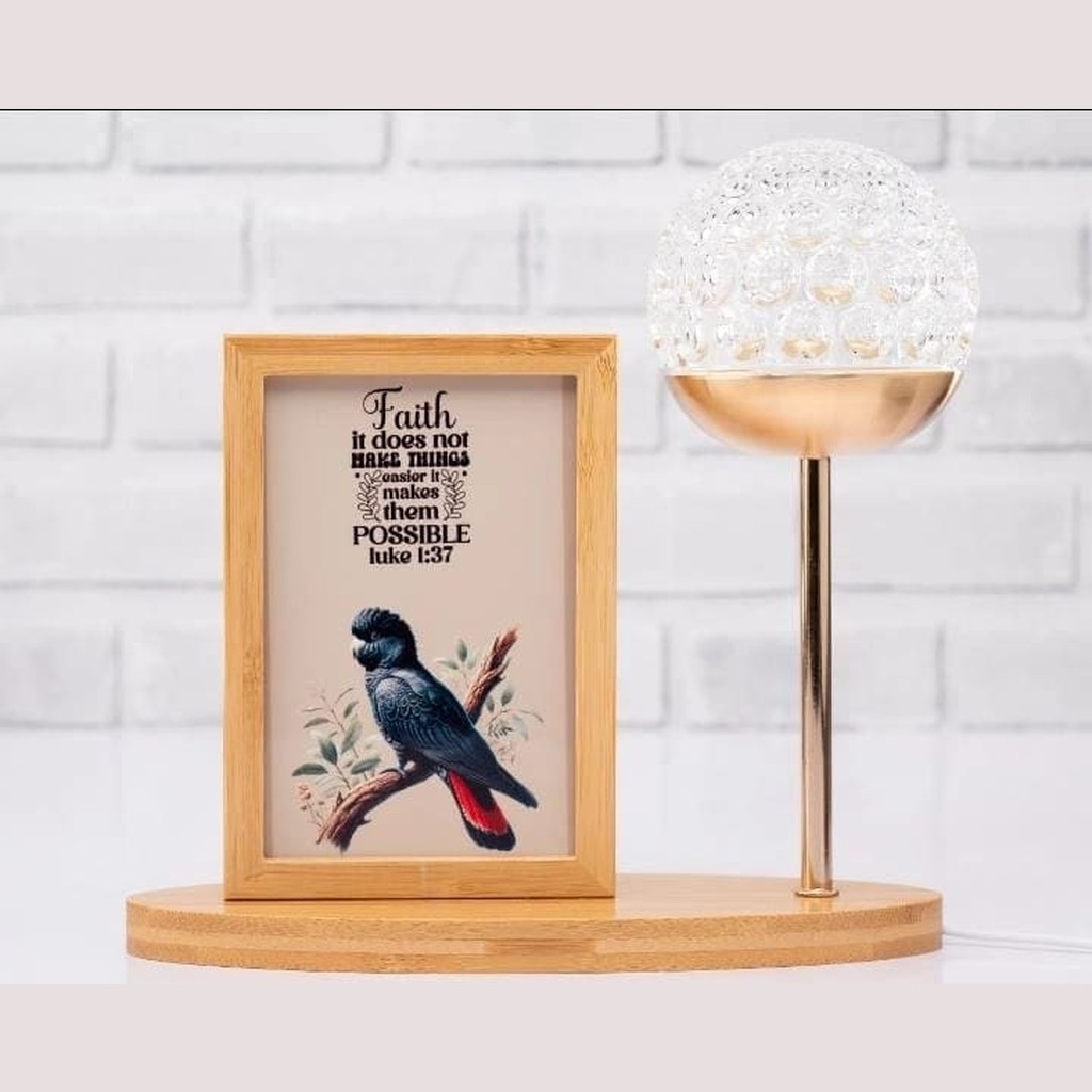 Shaped USB Photo Frames Shape Circular
