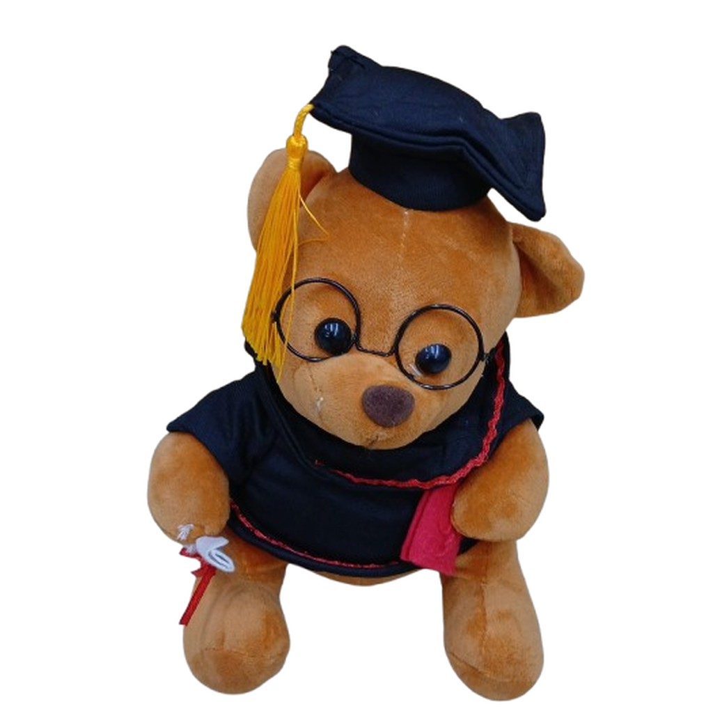 Graduation Teddy Bear