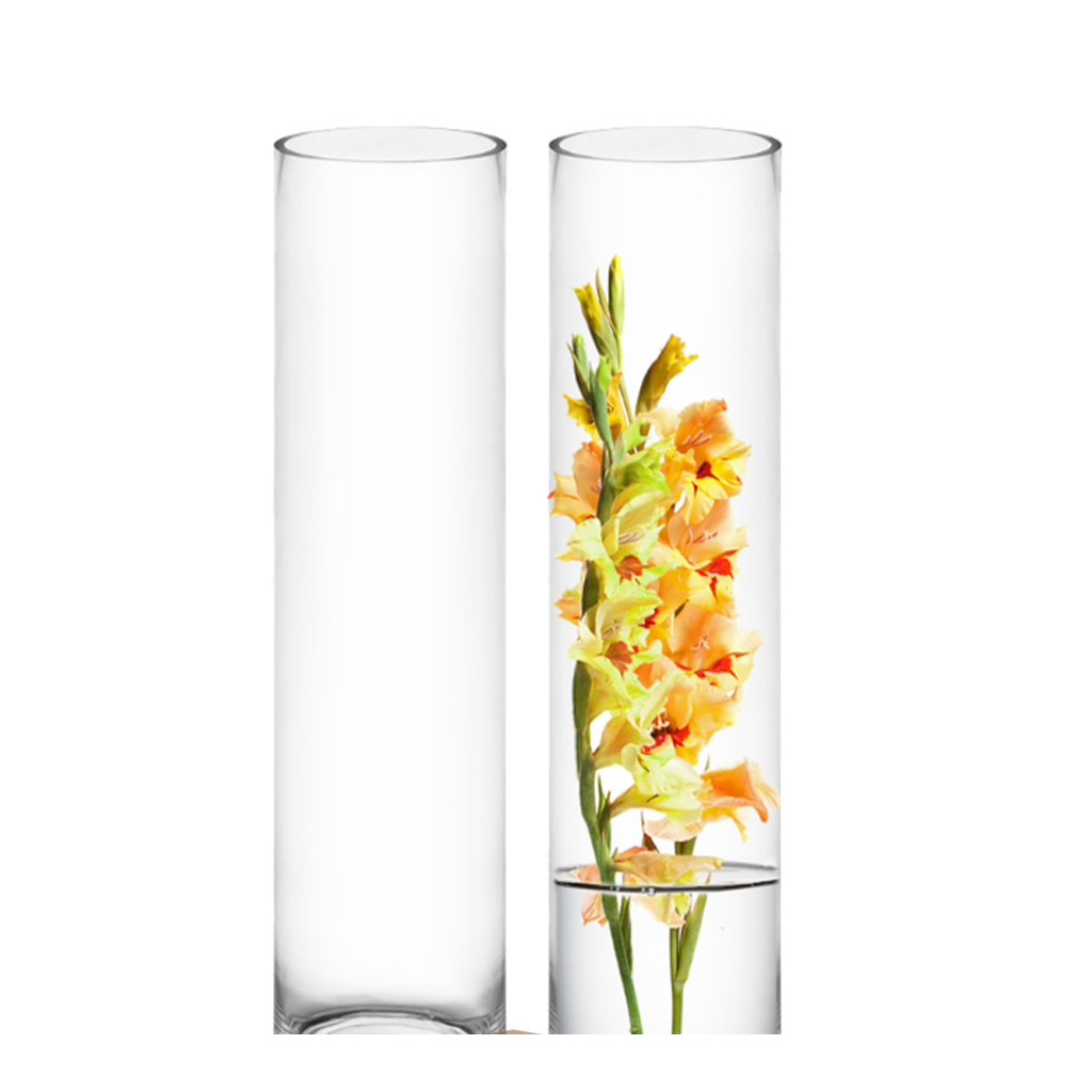 Small Clear Glass Tube Vase
