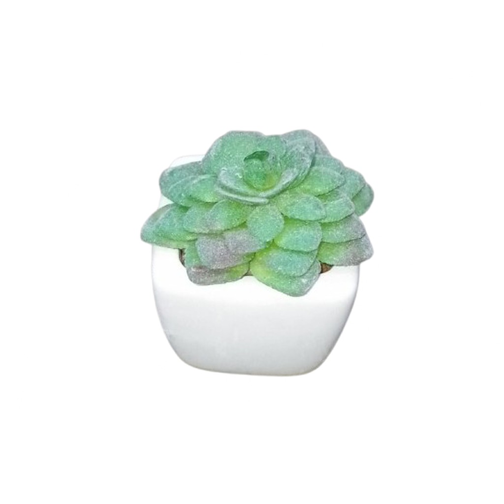 Artificial Cactus Plant In A Ceramic Vase