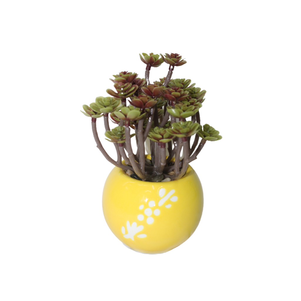 Artificial Succulent plant in a Ceramic Pot (Brown)