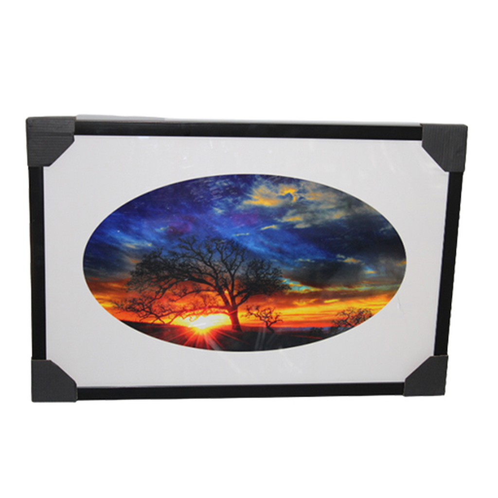 Picture Frame Wall Hangings (Silver & Black)