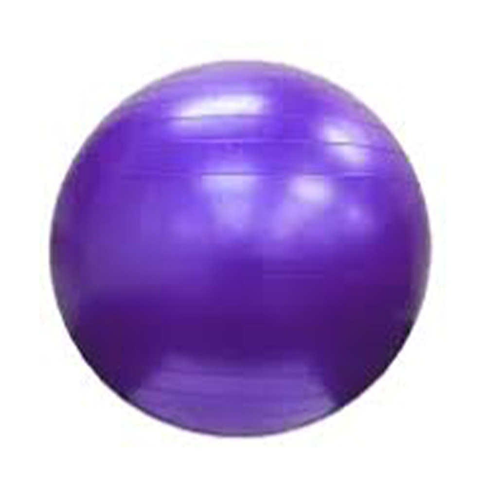 Therapy Balls (55cm)