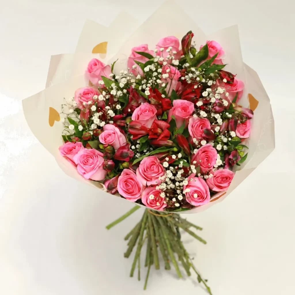 Rosy Alstro Pink