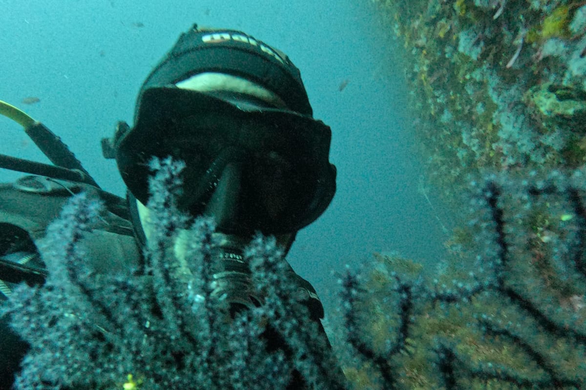 Plongée guidée en Méditerranée, M'diq