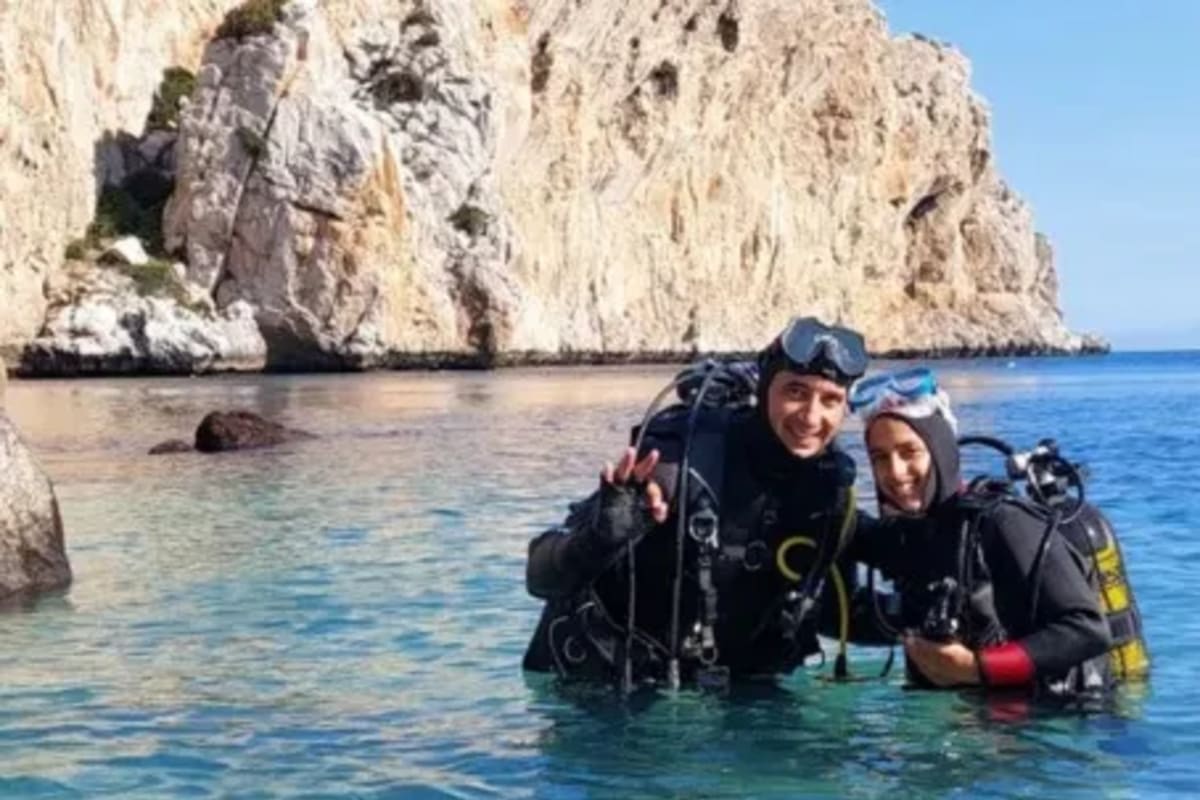 Faune marine Méditerranée M'diq, mérou et poissons