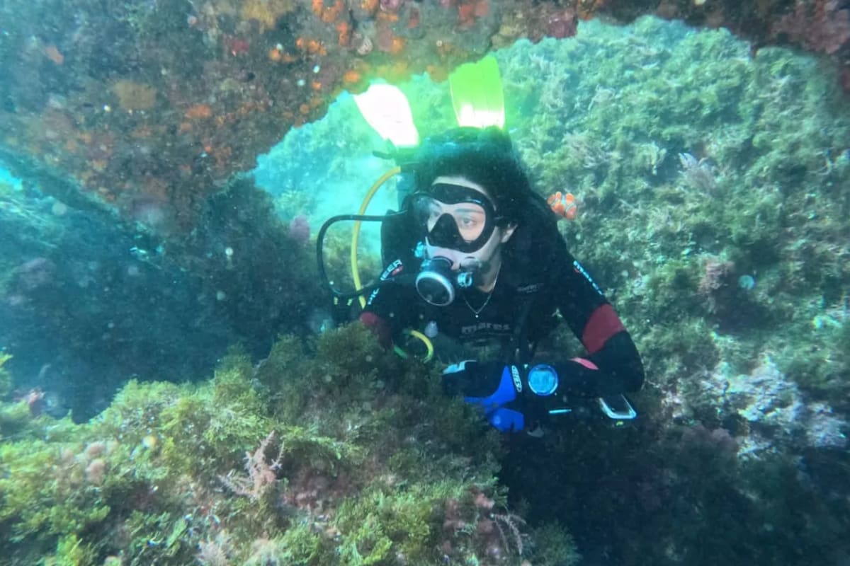 Pack plongées Méditerranée M'diq nemodiving