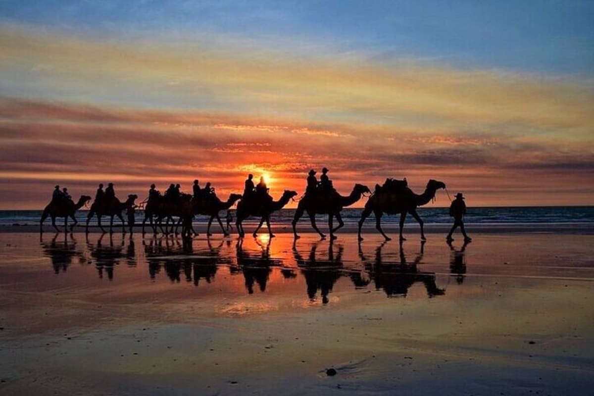Balade à chameau au coucher de soleil, plage de Tanger