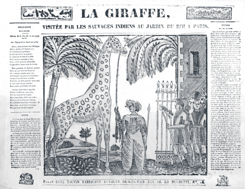 La Giraffe