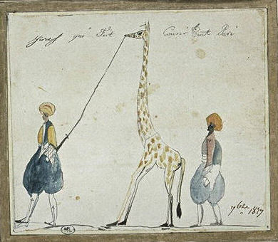 La girafe par Chassériau