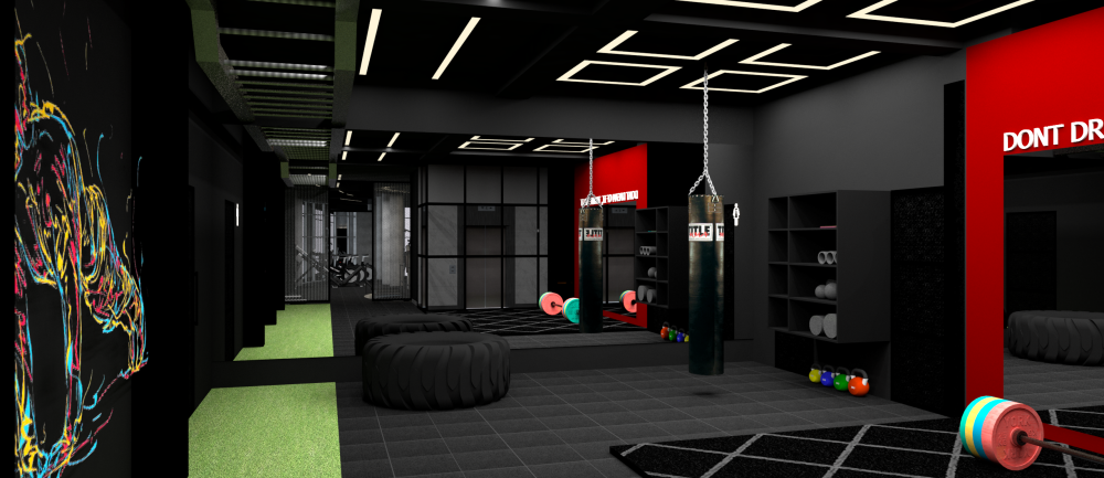 Lion Gym - Commercial
