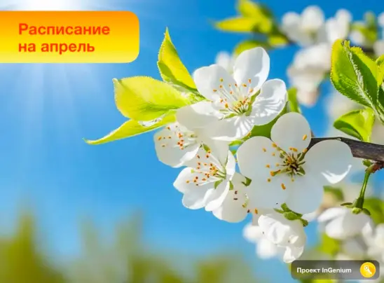 расписание вебинаров в рамках авторского канала