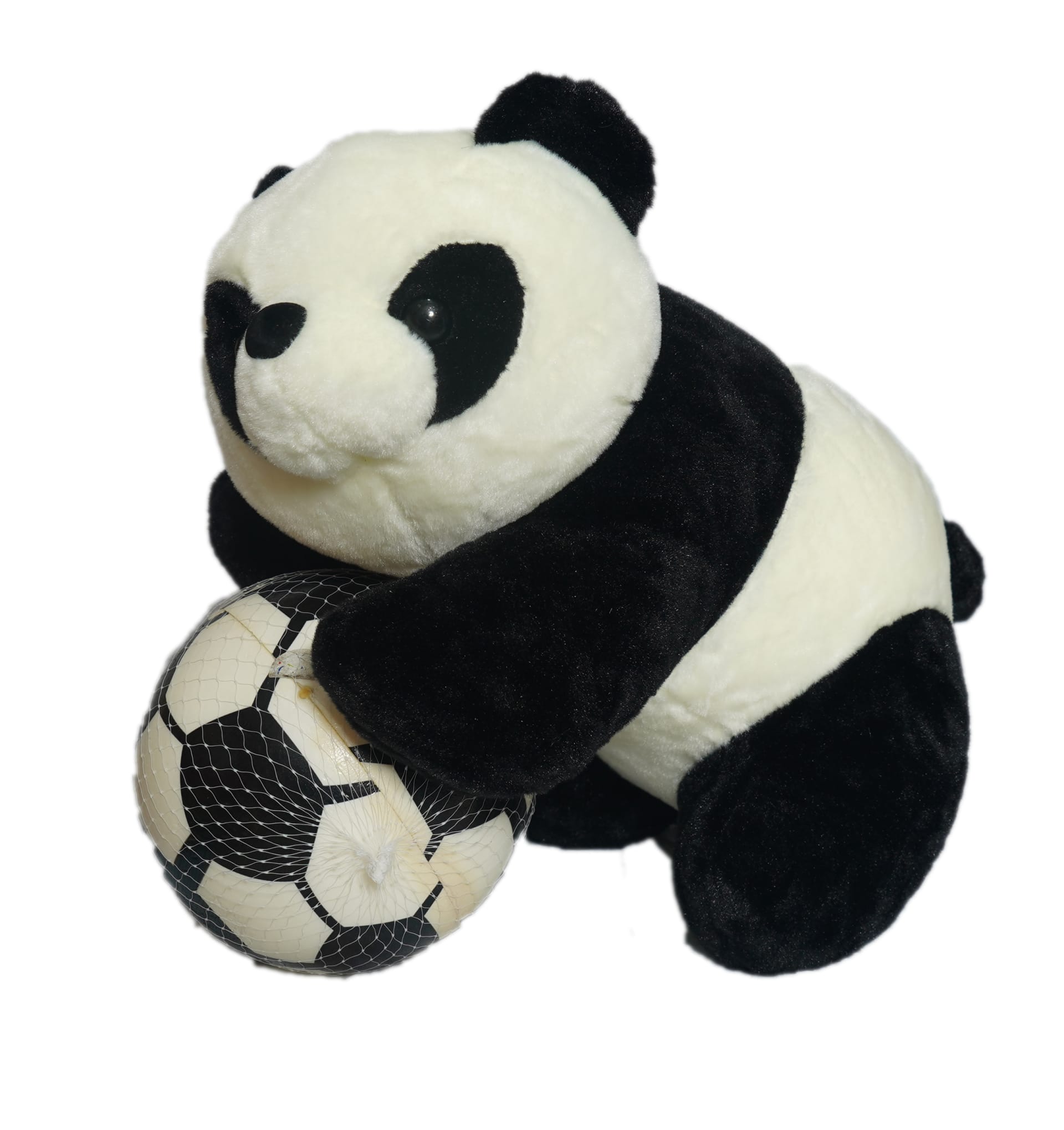 PANDA Teddy
