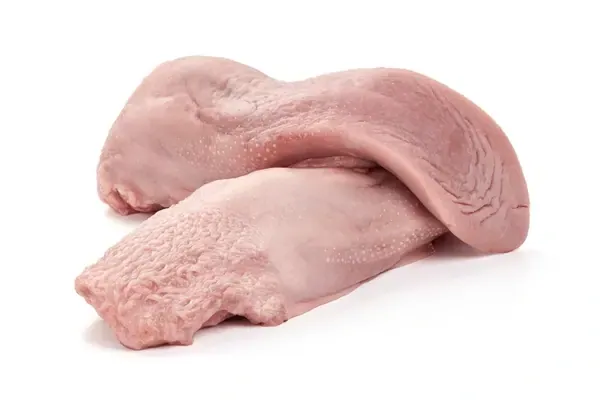 Lengua