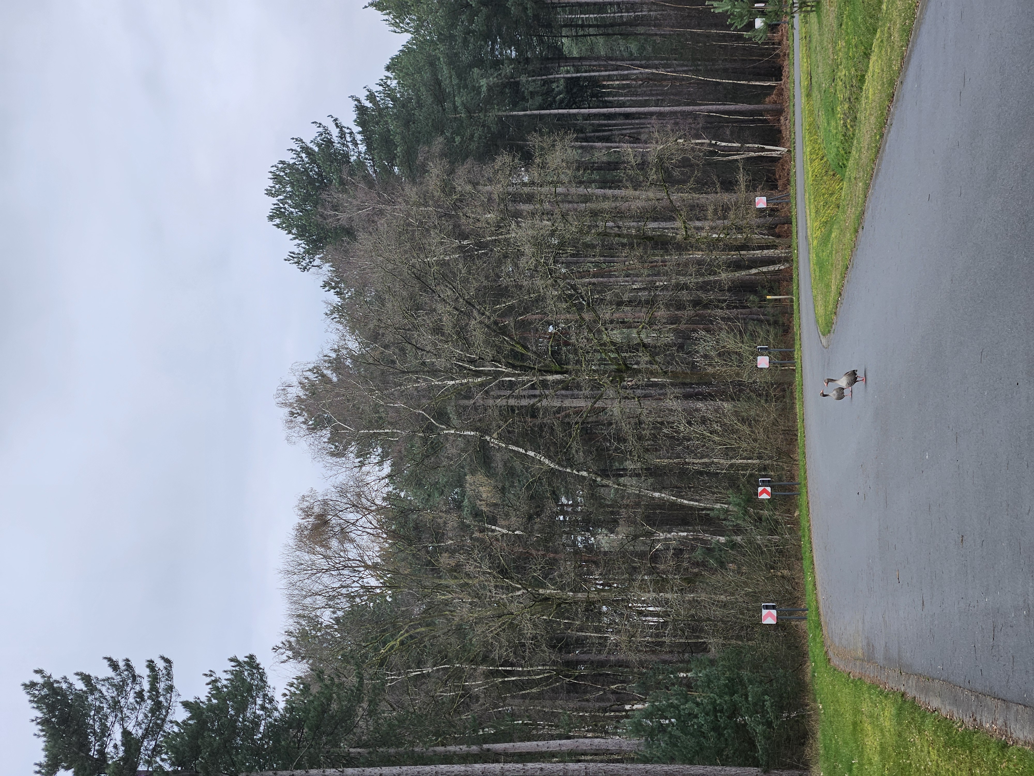 Omleidingen — photo 1
