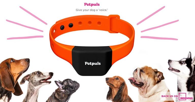 Internet of Pets