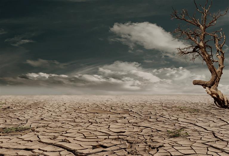 How Technology Can Help Solve Climate Change