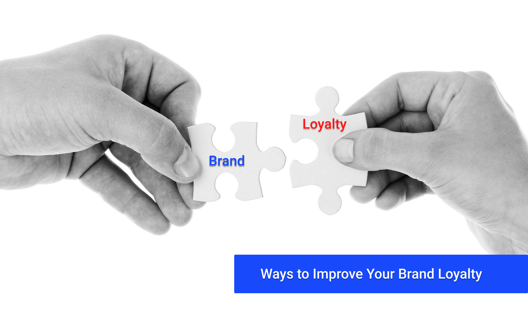 Ways to Improve Your Brand Loyalty