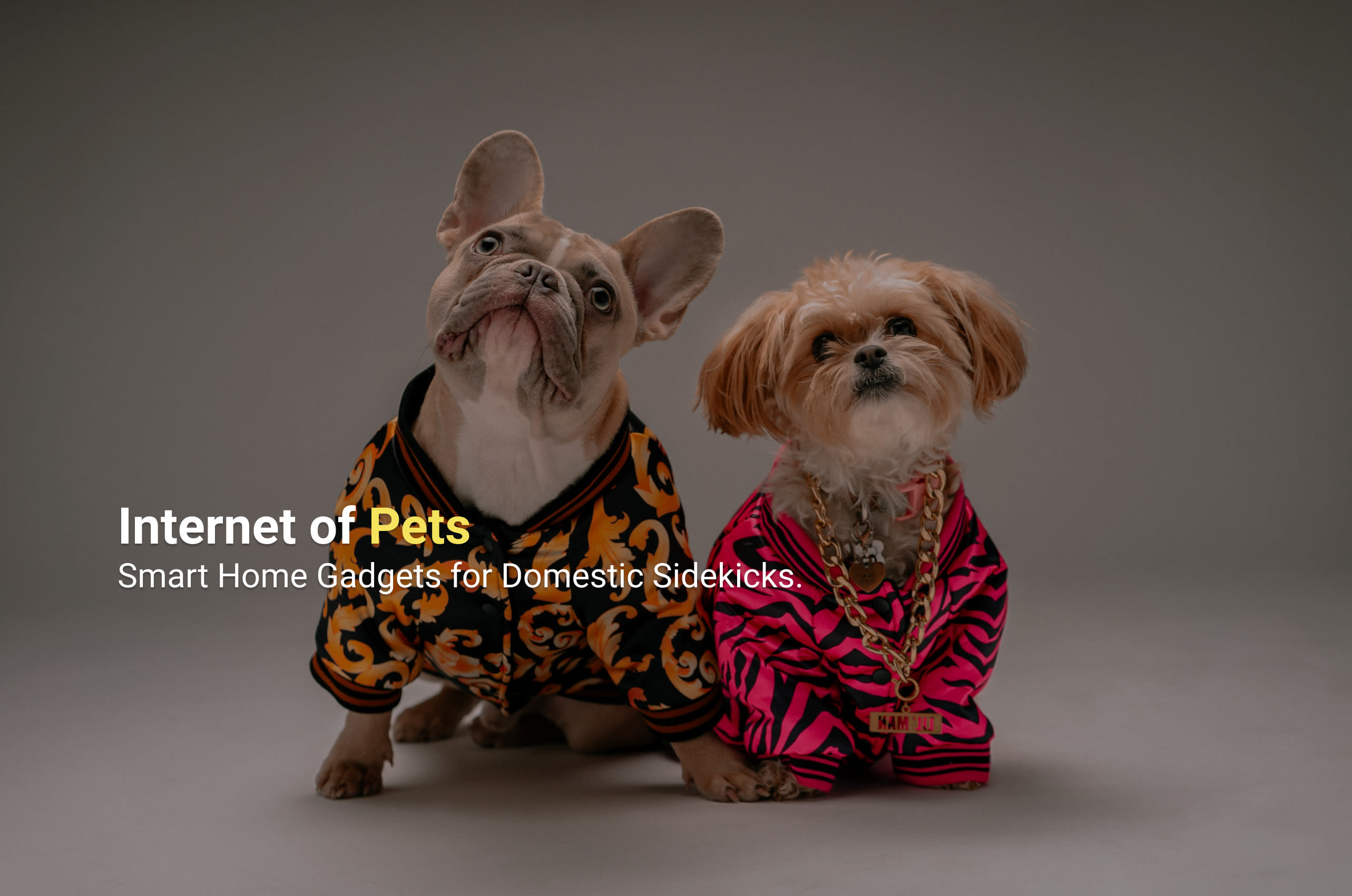 Internet of Pets
